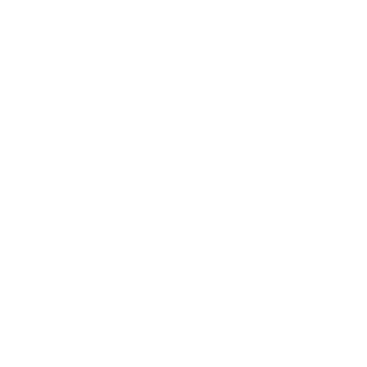 AK Interactive